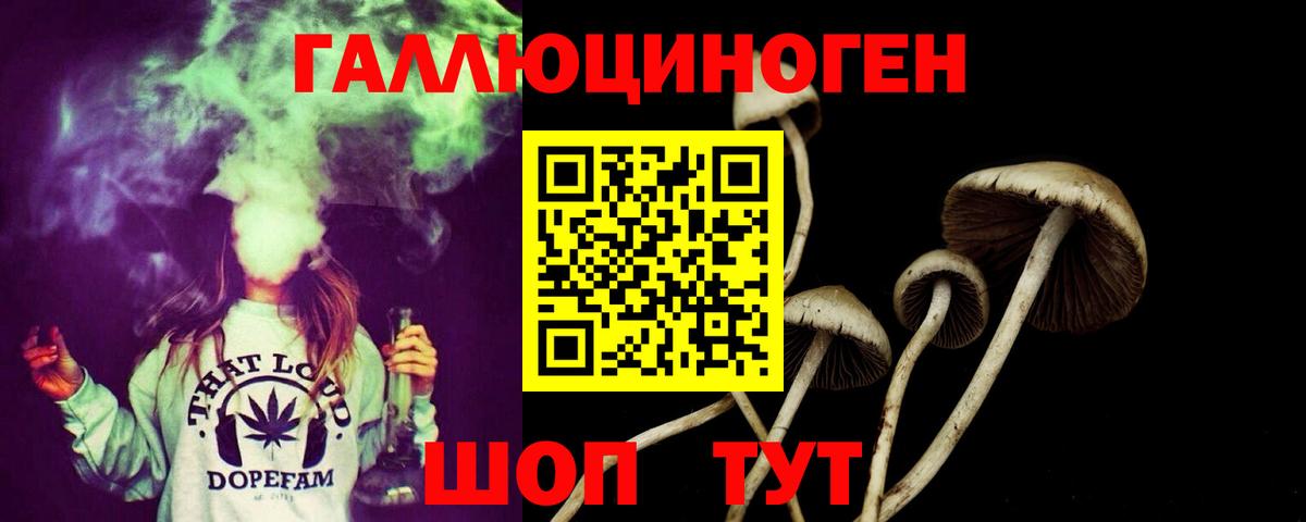 Южно-Сахалинск  Псилоцибиновые грибы Magic Shrooms  Вход с VPN  Галлюциногенные грибы Psilocybe 